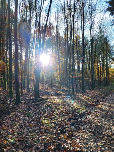 Ausflugsziele/ Wandern