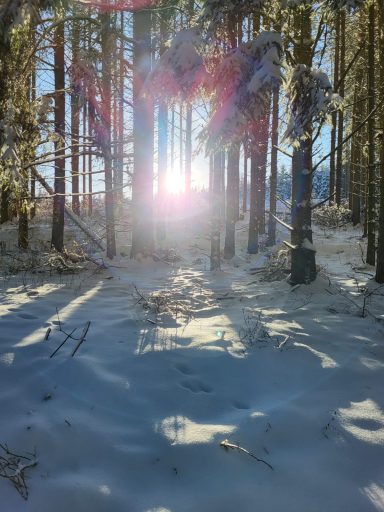 Ausflugsziele/ Wandern