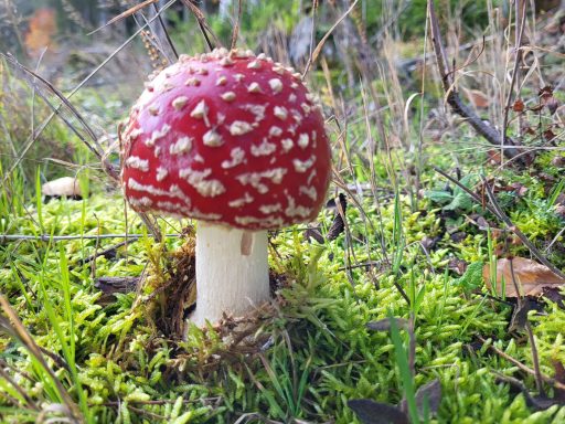 Ausflugsziele/ Wandern