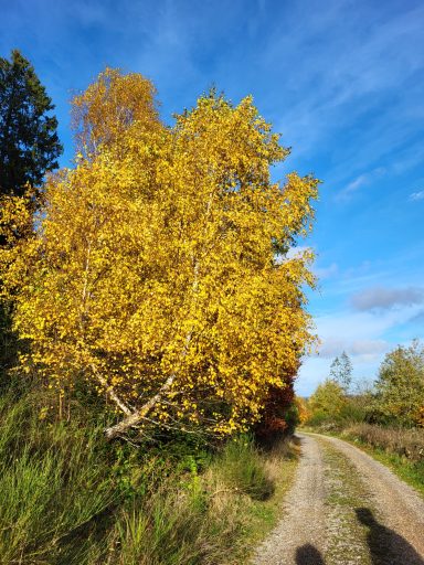 Ausflugsziele/ Wandern
