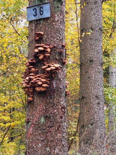 Ausflugsziele/ Wandern